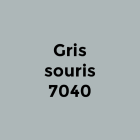 Gris-Souris-7040